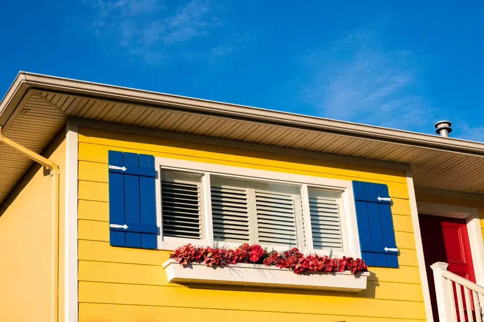 mold removal West Freehold