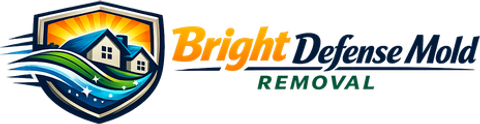 Bright Defense Mold Removal